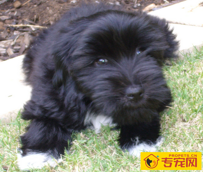 undefined{{pos:,w:,h:}}