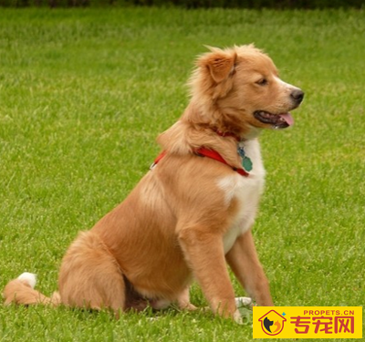 undefined{{pos:,w:,h:}}