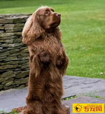 undefined{{pos:,w:,h:}}