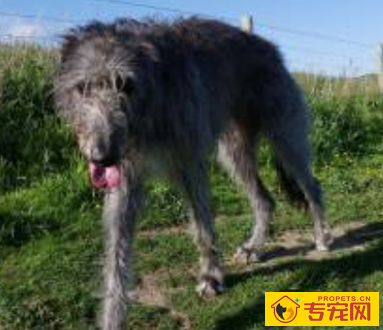 undefined{{pos:,w:,h:}}