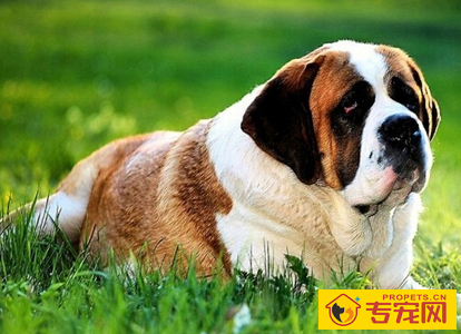 undefined{{pos:,w:,h:}}