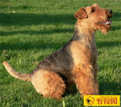 undefined{{pos:,w:,h:}}