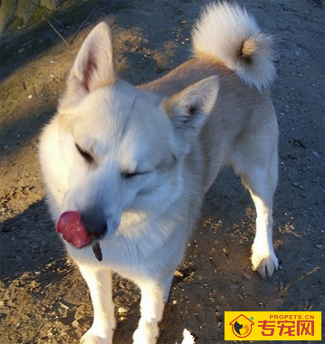 undefined{{pos:,w:,h:}}