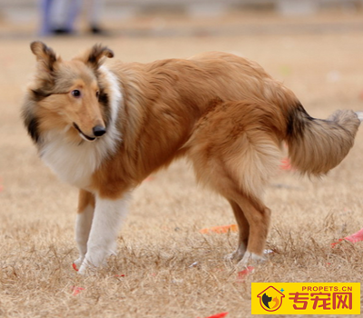 undefined{{pos:,w:,h:}}