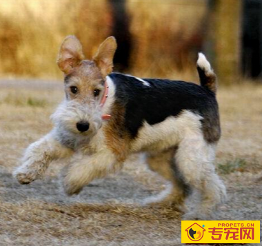 undefined{{pos:,w:,h:}}