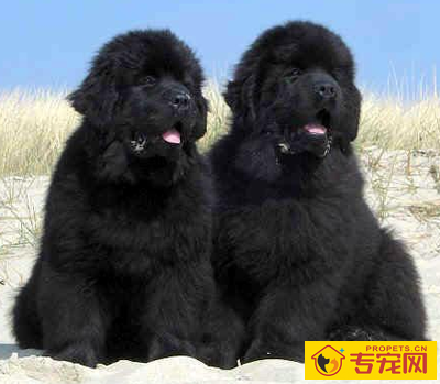 undefined{{pos:,w:,h:}}