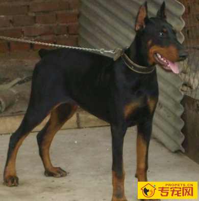 undefined{{pos:,w:,h:}}