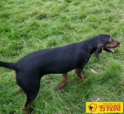 undefined{{pos:,w:,h:}}