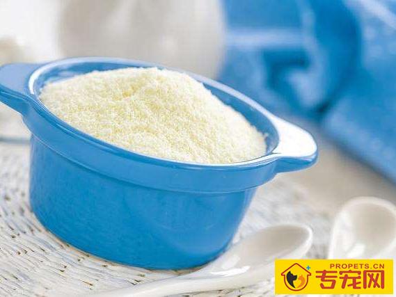 狗狗口腔溃疡几日能好 狗狗口腔溃疡几日能好