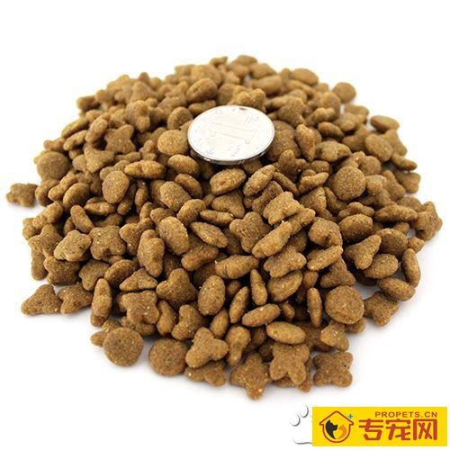 如何喂宠物零食 狗挑食应对解决办法