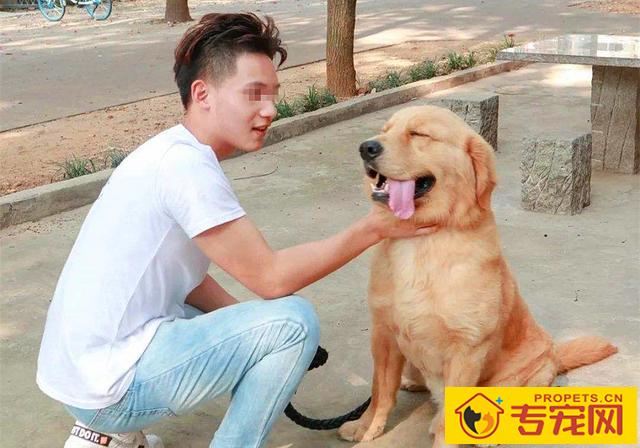 狗狗舔脸并无生命危险？猫奴需慎重，人宠亲亲抱抱时细菌会趁机侵入