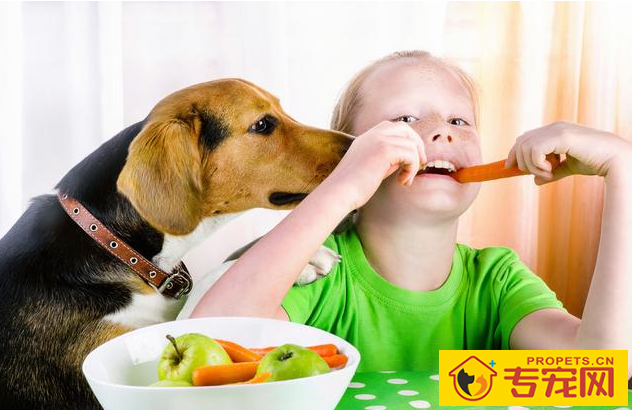 干这5件事的狗狗，实际上是在“吸引住”你，给你撸它