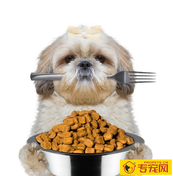 换犬粮的情况下为狗狗怎么会出現消化不好或恶心呕吐的状况? 换犬粮的情况下为狗狗怎么会出現消化不好或恶心呕吐的状况?