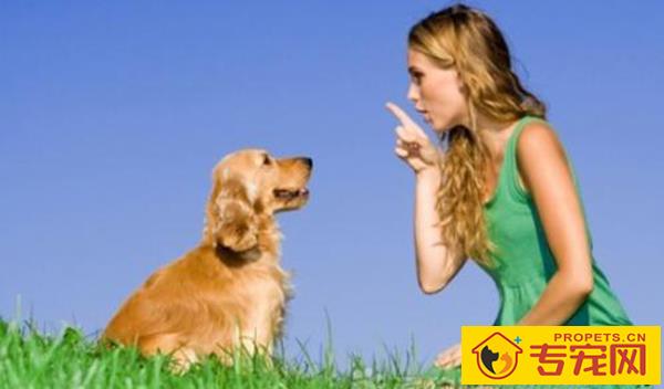 狗狗口臭怎么办？