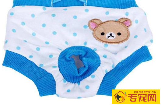 牛头梗闹狗要几日,牛头梗闹狗会出血吗 牛头梗闹狗要几日,牛头梗闹狗会出血吗