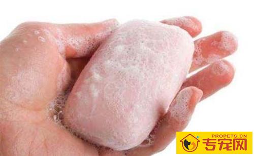 【养宠物小常识】萨摩耶能够用哪种来洗澡,萨摩耶用哪种洗澡最好 【养宠物小常识】萨摩耶能够用哪种来洗澡,萨摩耶用哪种洗澡最好