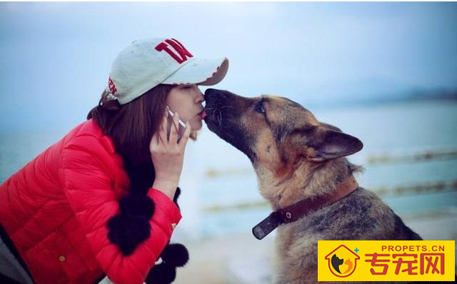 养狗的开心等级划分，5级主人最幸福快乐，你是几级？