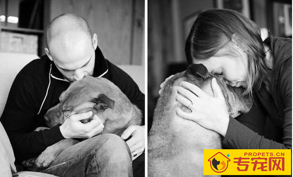 养狗的开心等级划分，5级主人最幸福快乐，你是几级？