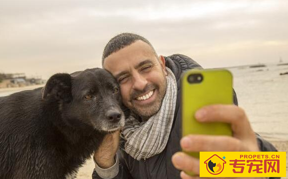 养狗的开心等级划分，5级主人最幸福快乐，你是几级？