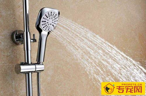 要给小狗买香波吗，小狗香波该如何选