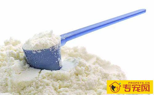 狗狗睡起來腿拐是怎么回事 狗狗睡起來腿拐是怎么回事