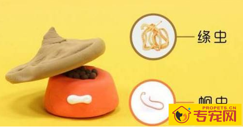 狗腹泻能够 喝温水吗 狗腹泻能够 喝温水吗