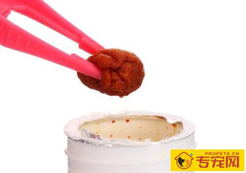 泰迪腿忽然惨叫后腿瘸了 泰迪腿忽然惨叫后腿瘸了