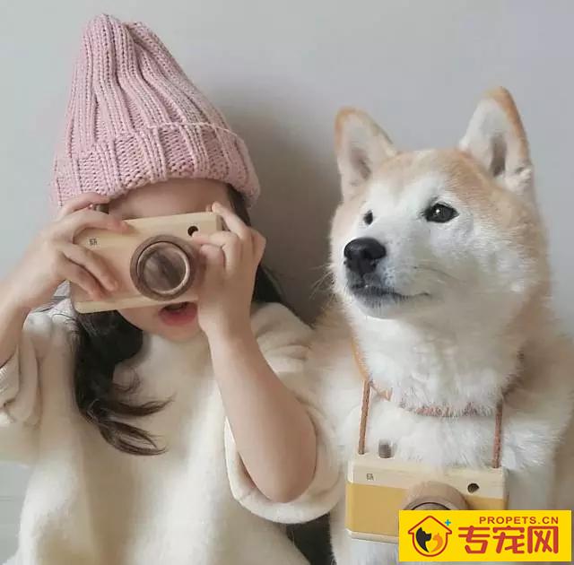 养宠物过程中,对给你协助的 养宠物过程中,对给你协助的