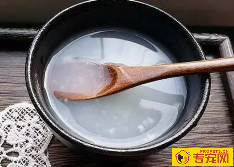 狗狗拉稀如何调养 狗狗拉稀如何调养