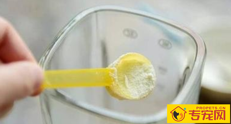 狗狗拉稀如何调养 狗狗拉稀如何调养