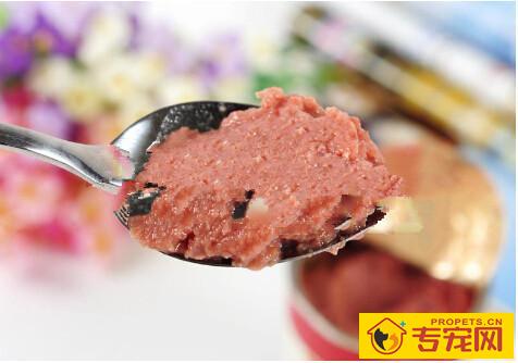 刚买的狗狗能吃罐头吗，刚接回家的狗狗能吃罐头吗