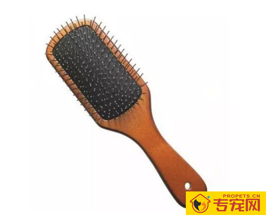 理毛必备品,那些狗子美容常用的工具介绍 理毛必备品,那些狗子美容常用的工具介绍