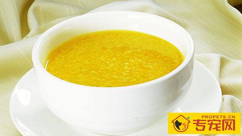 狗狗口腔溃疡消肿吗 狗狗口腔溃疡消肿吗