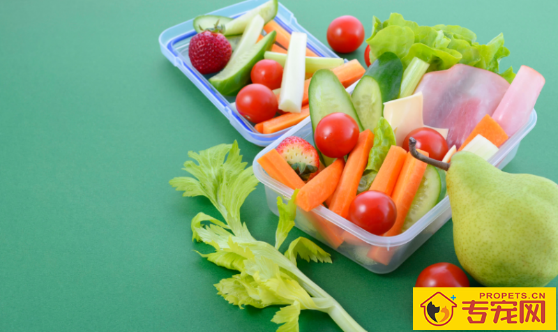 狗冬季很多掉毛是怎么回事 狗冬季很多掉毛是怎么回事