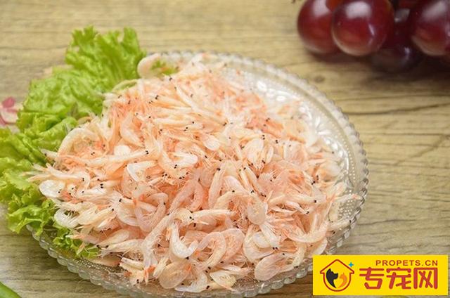 狗狗哪些食物钙含量高