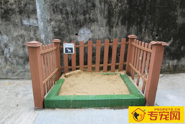 养狗必备的10种“用品”，许多宠主都没买齐，你少买来哪样？