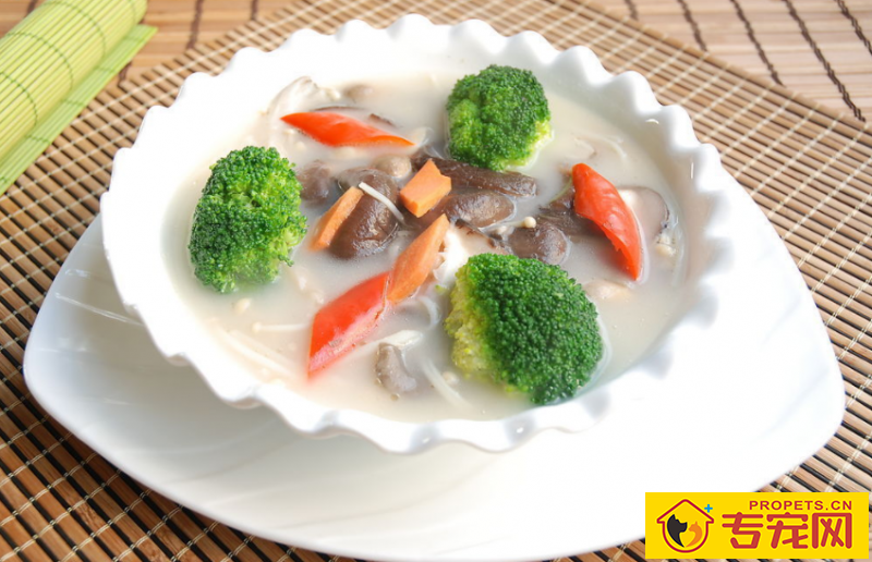 柯基几个月掉毛最凶