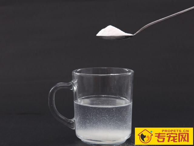 狗狗一天沒有拉尿