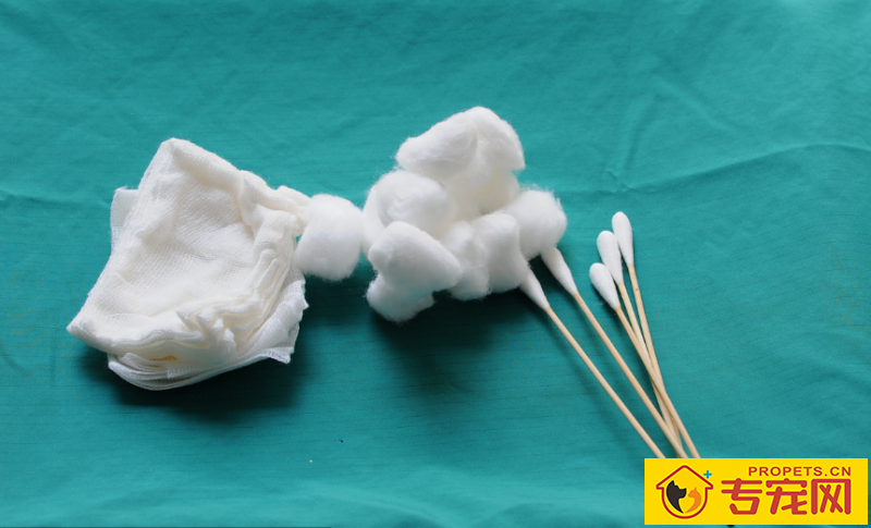 狗狗有一个伤口一直不太好该怎么办