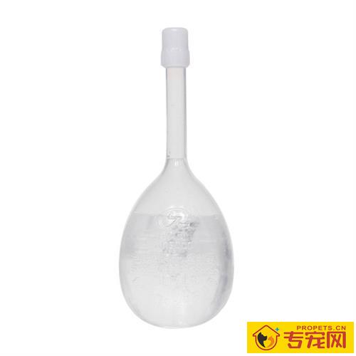 狗狗吃什么蔬菜能够推动排便