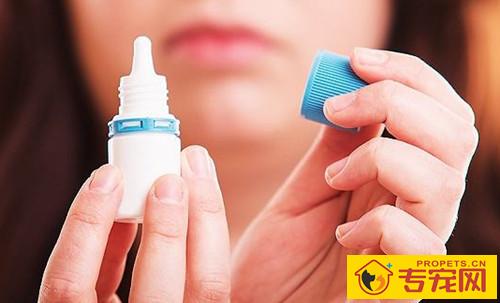 柴犬耳螨用红药水，红药水擦柴犬耳螨有什么用