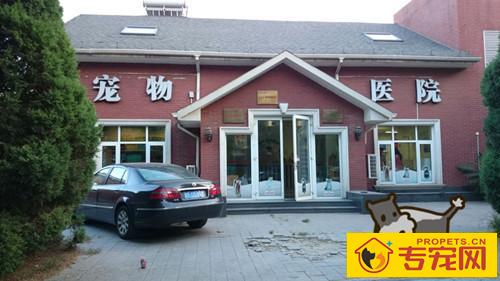 狗狗泪痕能完全治好么