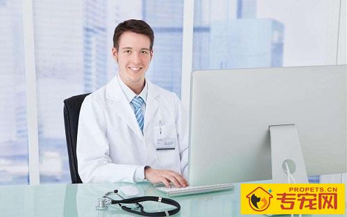 4个月大的金毛为何许多 尿 4个月大的金毛为何许多 尿