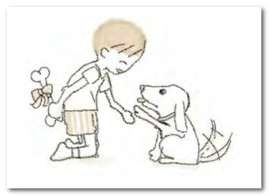 如何训练金毛犬的记忆力