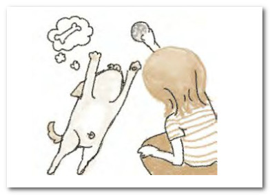 如何训练金毛犬的记忆力