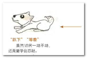 金毛犬趴着一动不动的