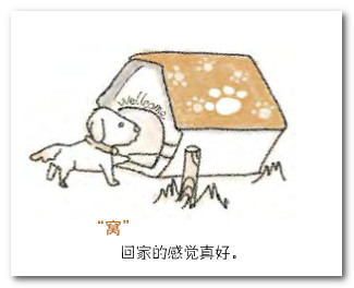 让金毛犬知道回家的感觉真棒