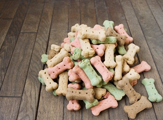 3个月金毛犬吃什么既营养又健康又对毛好