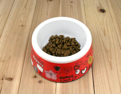 如何饲养断奶后的金毛幼犬