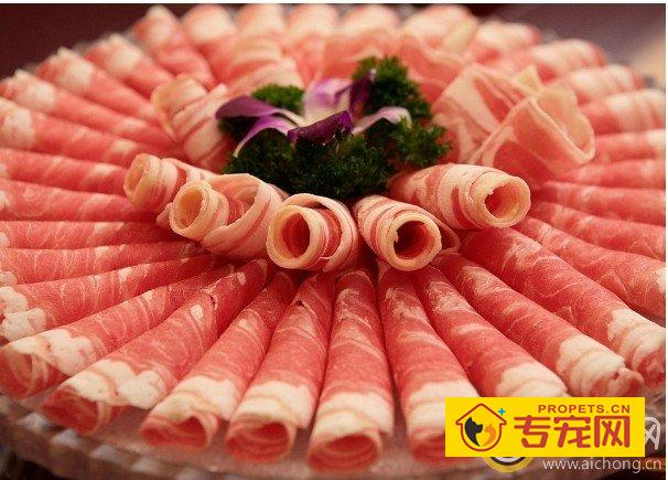 小金毛犬适合吃羊肉吗